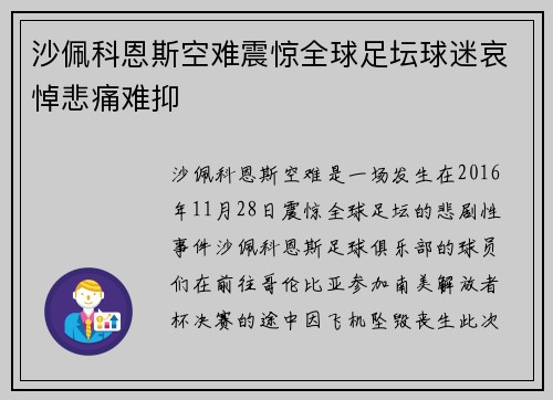 沙佩科恩斯空难震惊全球足坛球迷哀悼悲痛难抑 沙佩科恩斯空难震惊全球足坛球迷哀悼悲痛难抑